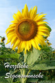 Fotokarte  Sonnenblume mit Text 
